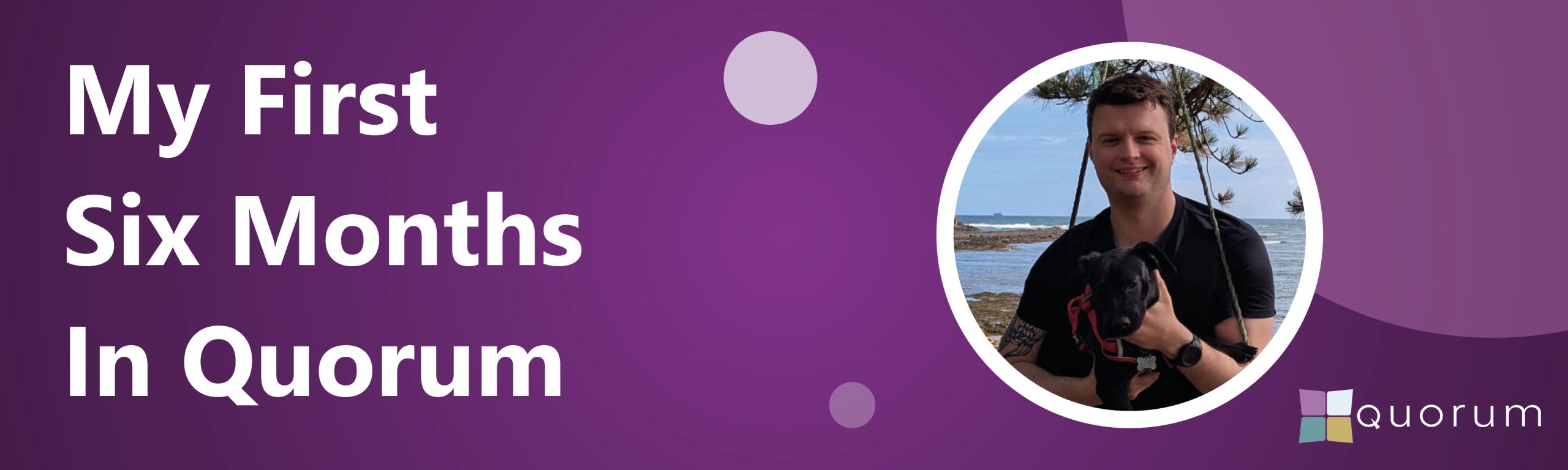 Website Banner Fin Lee 6 Months